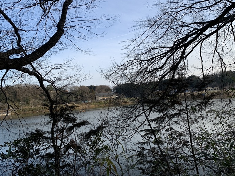 日和田山、物見山